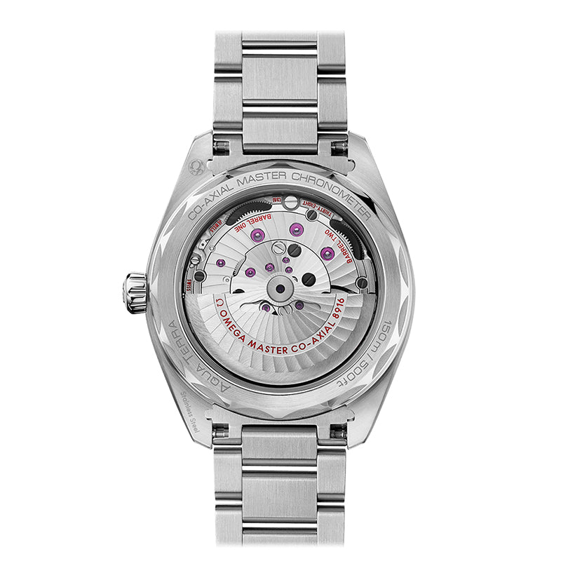 Omega Seamaster Aqua Terra 150m Co-Axial Master Chronometer Small Seconds 41mm- 220.10.41.21.02.004