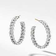 Belmont Curb Link Medium Hoop Earrings