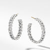 Belmont Curb Link Medium Hoop Earrings