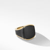 Streamline? Signet Ring in 18K Yellow Gold with Black Titanium